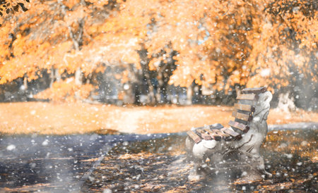 Autumn park in the days of the first snowの写真素材