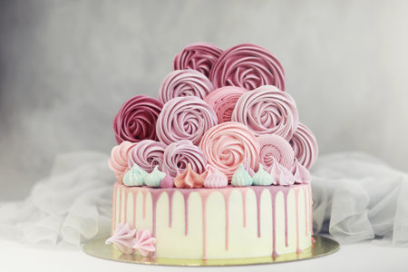Beautiful festive cake biscuit with different creams and decoratedの写真素材