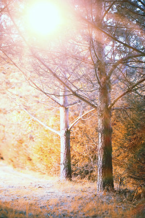 End of summer warm season in the parkの写真素材