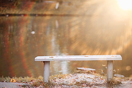 Autumn rain in the park during the day