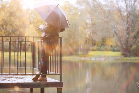 Autumn rain in the park during the dayの写真素材