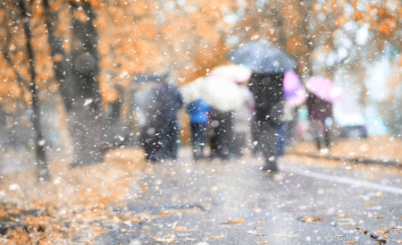 Autumn park in the days of the first snowの写真素材