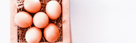 Chicken brown eggs on a white table in a small basketの写真素材