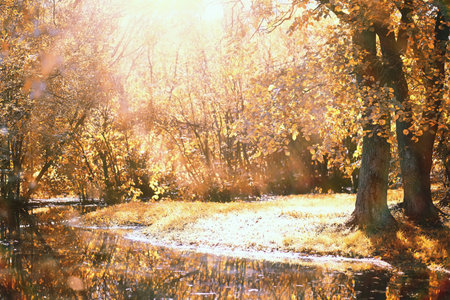 End of summer warm season in the parkの写真素材