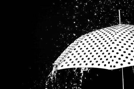 rain drop umbrella isolatedの写真素材
