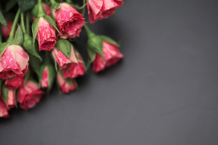 Bouquet of red roses on black matte backgroundの写真素材