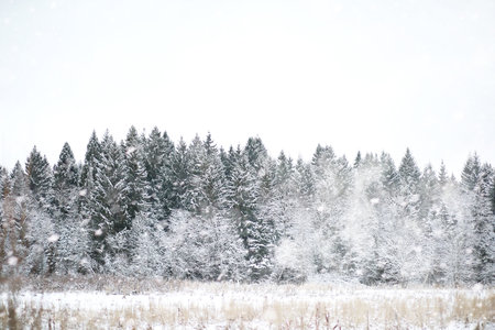 Winter landscape of country fields and roads in the snowの写真素材