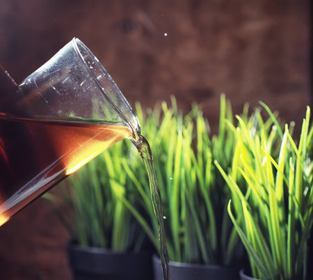Brewing tea on a wooden table in the morningの写真素材