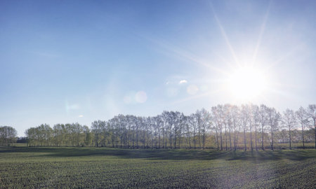 Landscape is summer. Green trees and grass in a countryside landscape. Nature summer day. Leaves on bushes.の写真素材