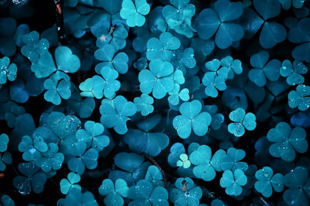 Background from plant clover four leaf. Irish traditional symbol. St. Patrick's Day.の写真素材