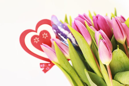 Bouquet of beautiful pink tulips on a white backgroundの写真素材
