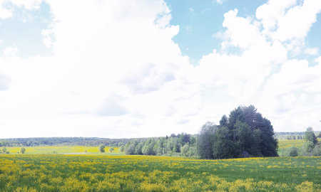 Landscape is summer. Green trees and grass in a countryside landscape. Nature summer day. Leaves on...