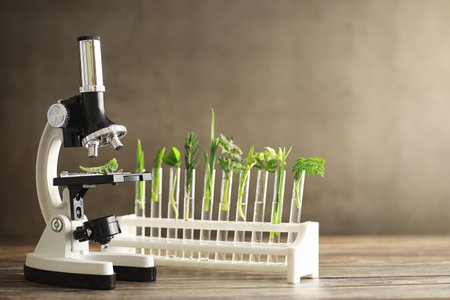 Microscope and partings on the table in the laboratory. Study on GMOs in greens.の写真素材