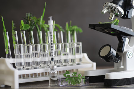 Microscope and partings on the table in the laboratory. Study on GMOs in greens.の写真素材