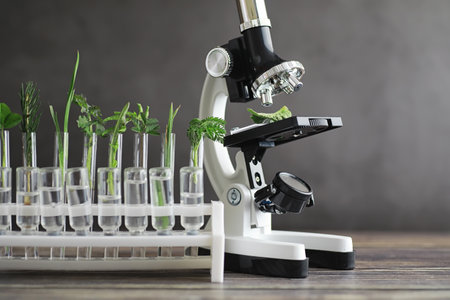 Microscope and partings on the table in the laboratory. Study on GMOs in greens.の写真素材