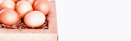 Chicken brown eggs on a white table in a small basketの写真素材