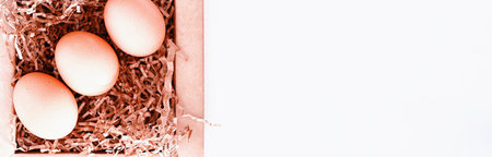 Chicken brown eggs on a white table in a small basketの写真素材