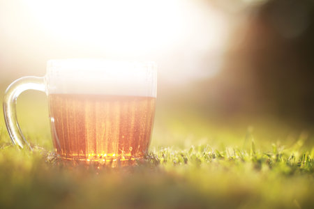 Glass mug of light foam beer. Spring holiday in nature.の写真素材