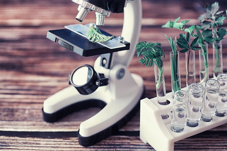 Microscope and partings on the table in the laboratory. Study on GMOs in greens.の写真素材