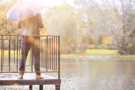 Autumn rain in the park during the dayの写真素材