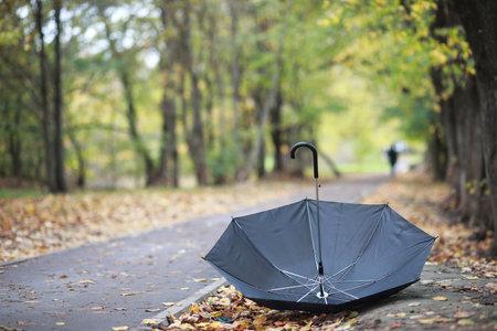 Autumn background in the park during the dayの写真素材