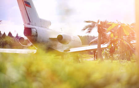Plane in the jungle. The plane landed in the dense vegetation of the palms. Journey to island in the...