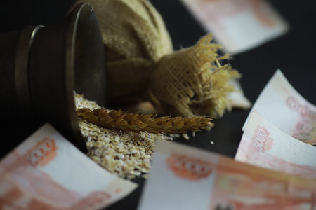 The concept of the cost of grain. 5000 ruble banknotes around a handful of ground grain. World hunger.の写真素材