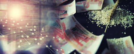 The concept of the cost of grain. 5000 ruble banknotes around a handful of ground grain. World hunger.の写真素材
