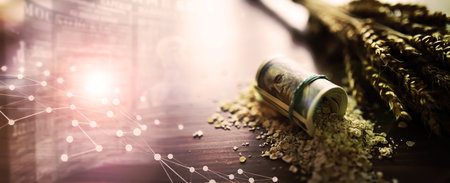 The concept of the cost of grain. 5000 ruble banknotes around a handful of ground grain. World hunger.の写真素材