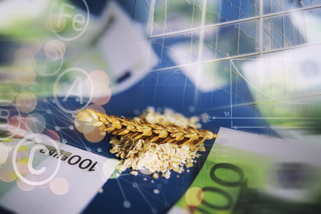 World grain crisis. A handful of cereals and euro banknotes on blue background.の写真素材