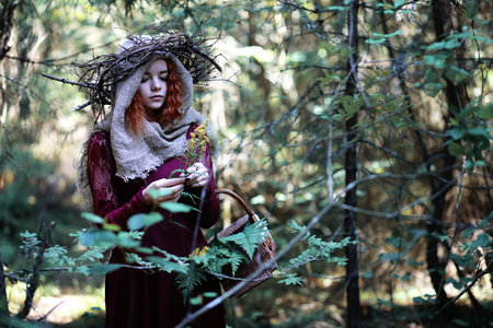 The red-haired woman holds a basket with a plant in the forestの写真素材