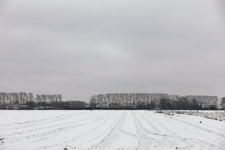 Winter landscape. Landscape of winter field on a sunny day. Snow-covered trees in the background. Branches under the snow. Snowy weather cold day.の写真素材