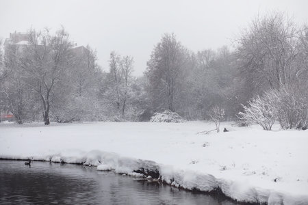 Snow-covered winter park and benches. Park and pier for feeding ducks and pigeons. The snow covered the autumn park.の写真素材