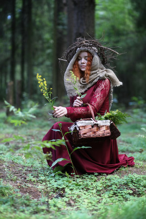 Conducts a ritual in the depths of the forestの写真素材