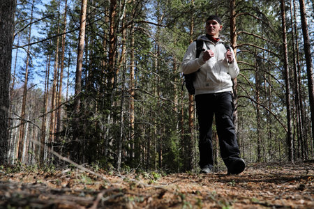 A man is a tourist in a pine forest with a backpack. A hiking trip through the forest. Pine reserve for tourist walks. A young man in a hike in the spring.の写真素材