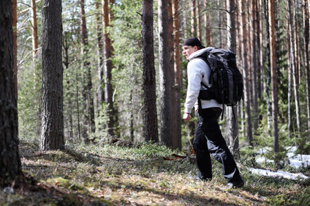 A man is a tourist in a pine forest with a backpack. A hiking trip through the forest. Pine reserve for tourist walks. A young man in a hike in the spring.の写真素材
