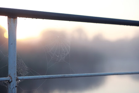 Fog in the lake. Morning nature water and white fog.の写真素材