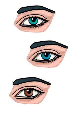 Human eye. Vector illustration. Front and side. Isolated on white. Blue, green and brown eye pupil.のイラスト素材