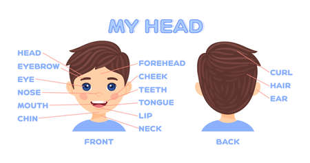 My face parts and pretty cartoon boy. Front and Back view head. Workbook Poster for education kids with vocabulary and anatomy. Flat cartoon Color style. White background. Vector stock illustration.のイラスト素材