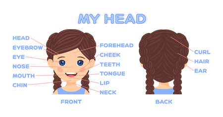 My Head and Face parts for game with the Dictionary. Cute Cartoon Brunette Girl Front and Back. Educational guide for children. Learn words. Flat color poster in a fun style. White background. Vector.のイラスト素材