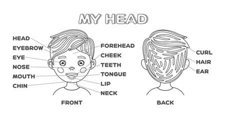 My head and Cartoon Boy. Front and Back view. Poster with words of the parts of the face. Black and white. English language. Education learning and play for children. Page from the workbook. Vector.のイラスト素材