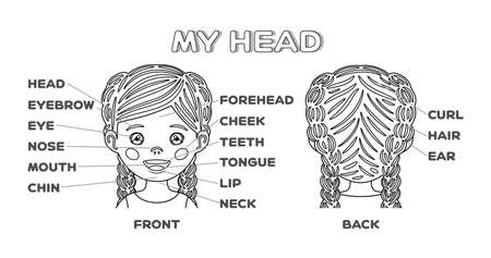My head, Face and cute cartoon girl. Names of the Parts of the face. Front and back view. Poster for children education. Workbook page for studying and playing with children. Black and white. Vector.のイラスト素材