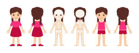 Set of Human body skeleton system. Isolated cute cartoon little girl and her skeletal. Front and back view. Illustration for children.Study of anatomy. Flat color style.のイラスト素材