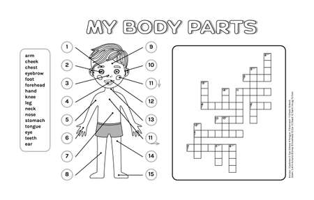Crossword Puzzle Cute Little Boy and My Body Parts. A Sheet from a Workbook for an Educational Game with Children, for Printing. English Words. Flat Cartoon, White, Black, Outline style. Vector imageのイラスト素材