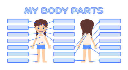 Study My Body Parts. Isolated Cute Little Girl in Front Back View. Education Game, Exam for Children in Anatomy. Page from Workbook for Printing. Flat Cartoon style. White background. Vector imageのイラスト素材
