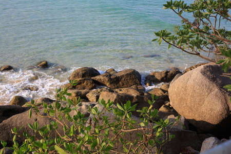 summer and sea