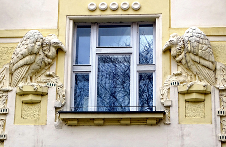 Birds on facade of house in Old Town, Prague, Czech Republicの写真素材