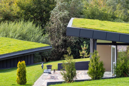 Modern buildings with lawns on the roof in the city eco park, roofs are covered with green grass.の写真素材