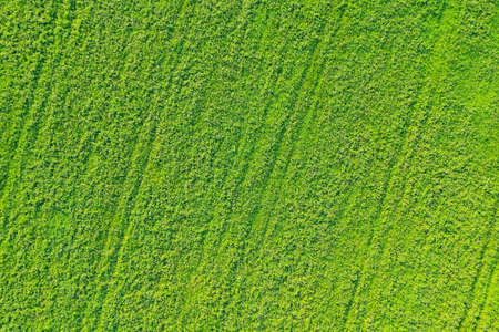 Bright sun in thick blue clouds against a blue sky.の写真素材