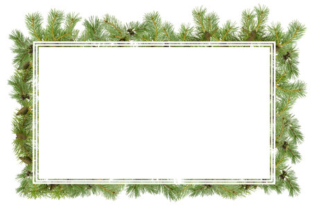 A frame of pine branches with small cones on a white background.の写真素材